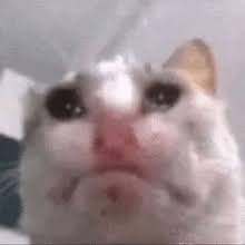 fggjhfj